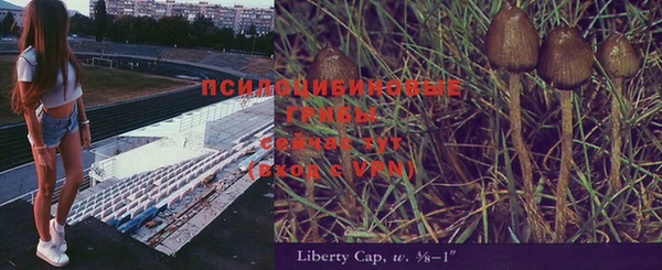 экстази Алексин