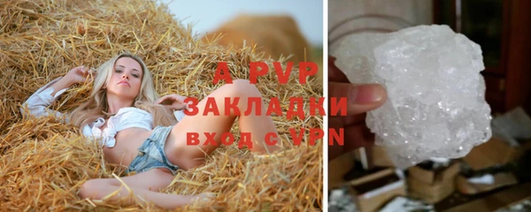 винт Алзамай