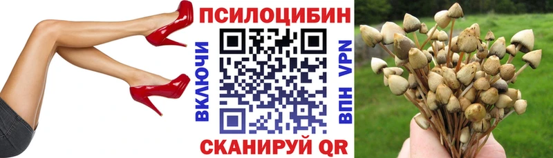 Псилоцибиновые грибы Psilocybine cubensis  Анапа 